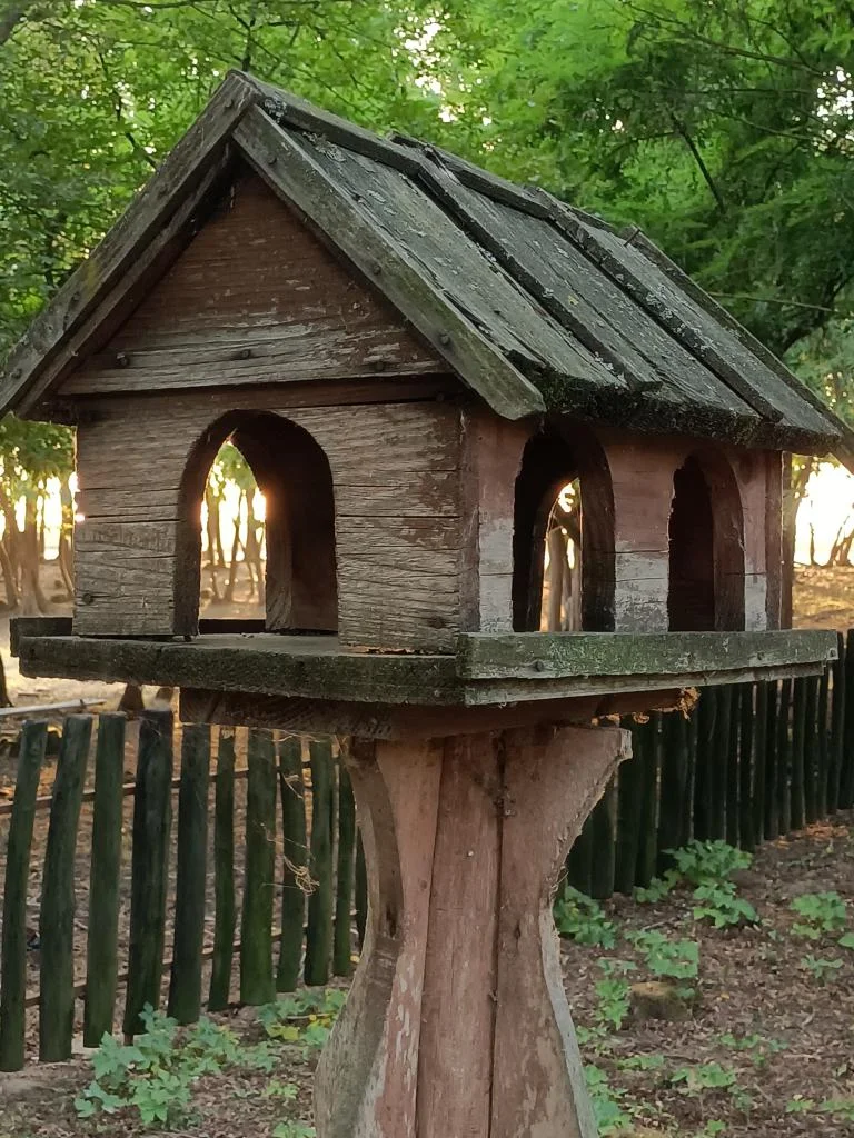 Kirándul a tanári kar