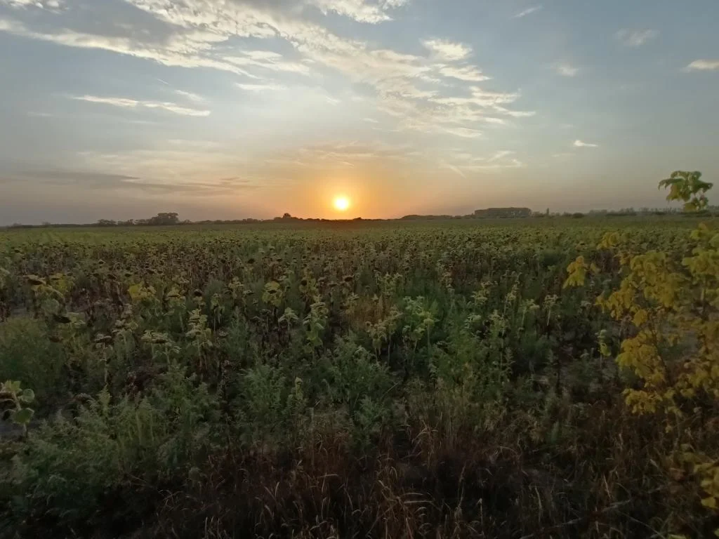 Kirándul a tanári kar