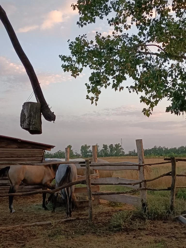 Kirándul a tanári kar