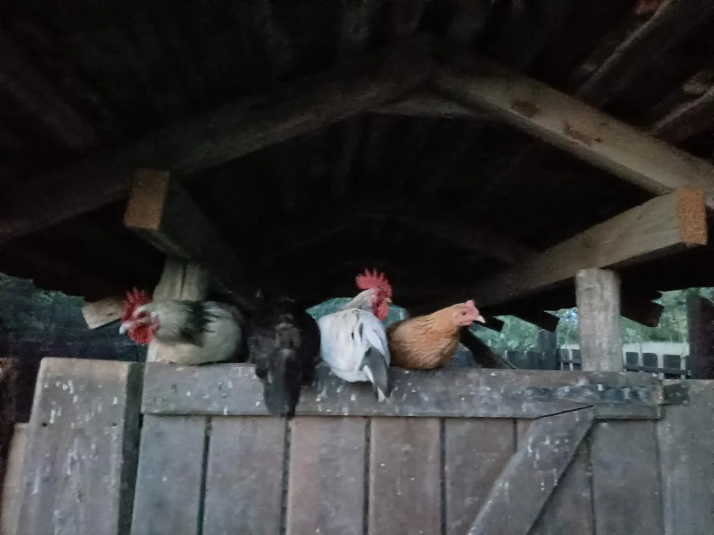 Kirándul a tanári kar