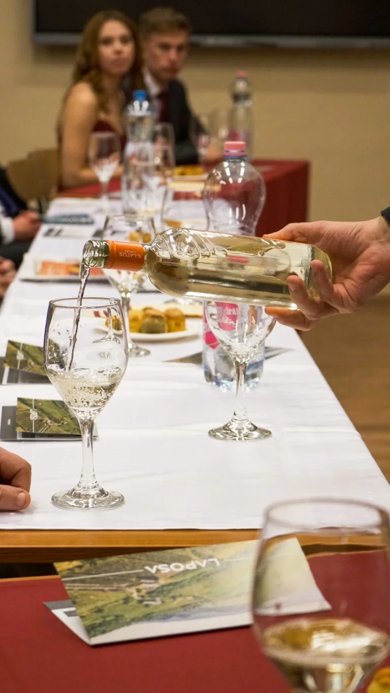 Hatalmas sikert hozott a jubileumi, 10. Hadik Bál