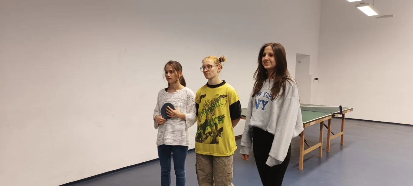 Házi ping-pong bajnokság