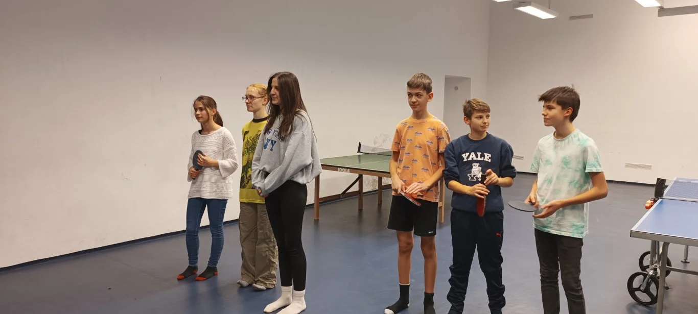 Házi ping-pong bajnokság