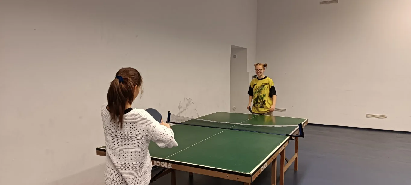 Házi ping-pong bajnokság