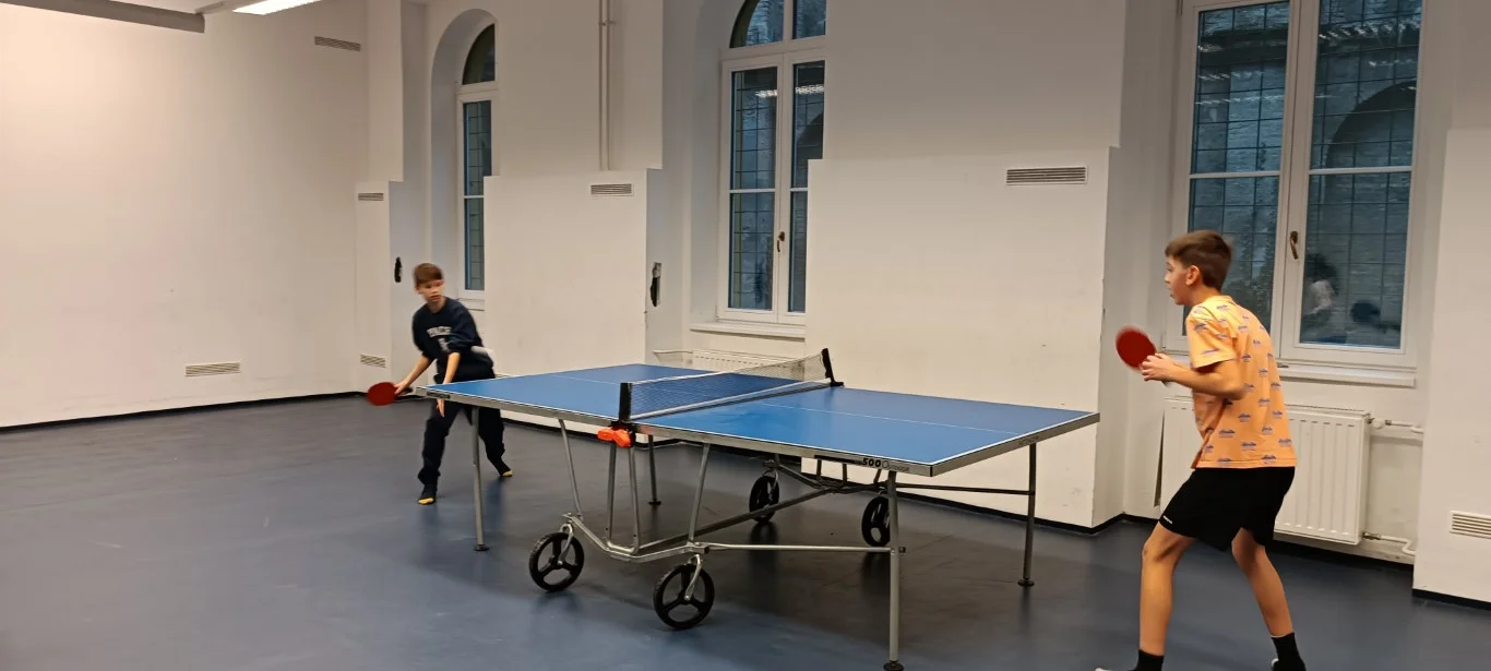 Házi ping-pong bajnokság