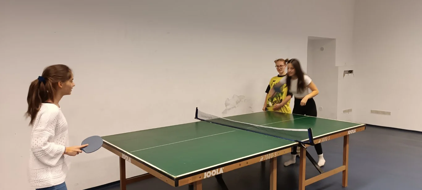 Házi ping-pong bajnokság