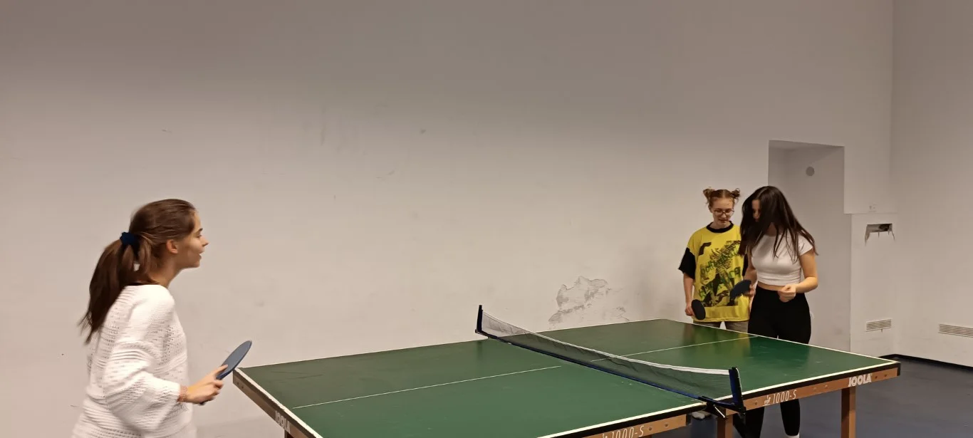 Házi ping-pong bajnokság