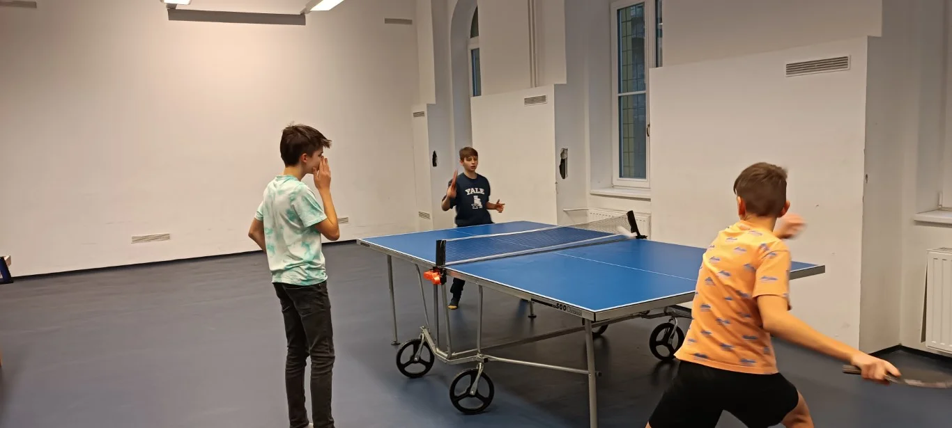 Házi ping-pong bajnokság