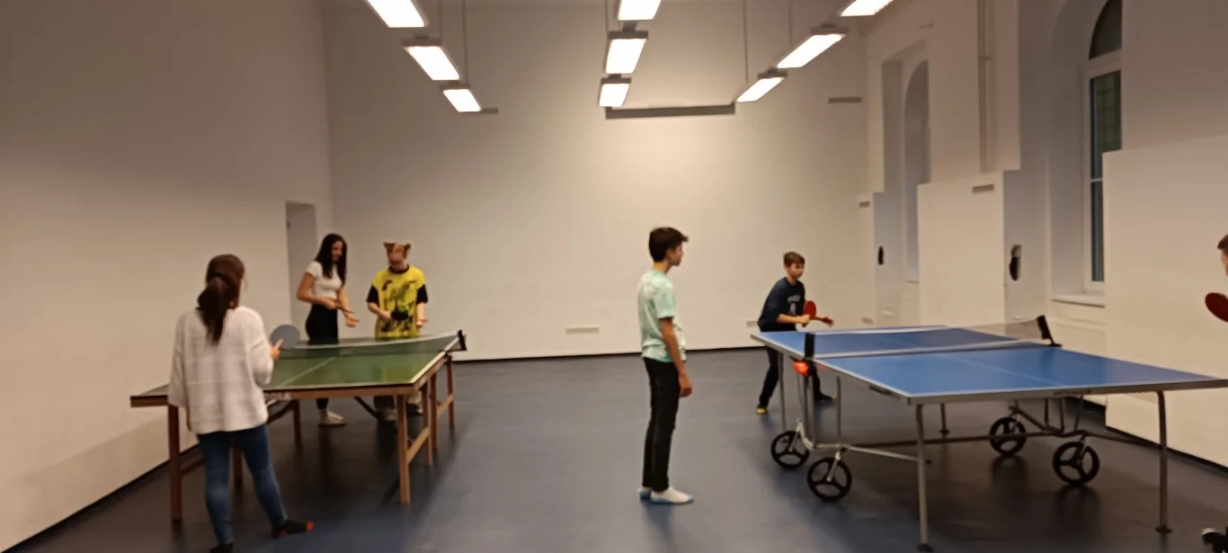 Házi ping-pong bajnokság