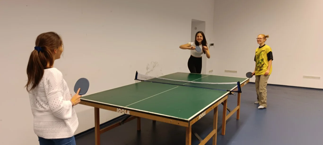 Házi ping-pong bajnokság