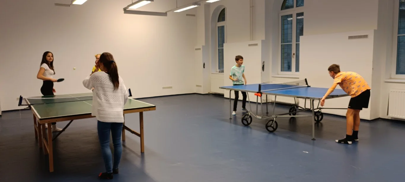 Házi ping-pong bajnokság