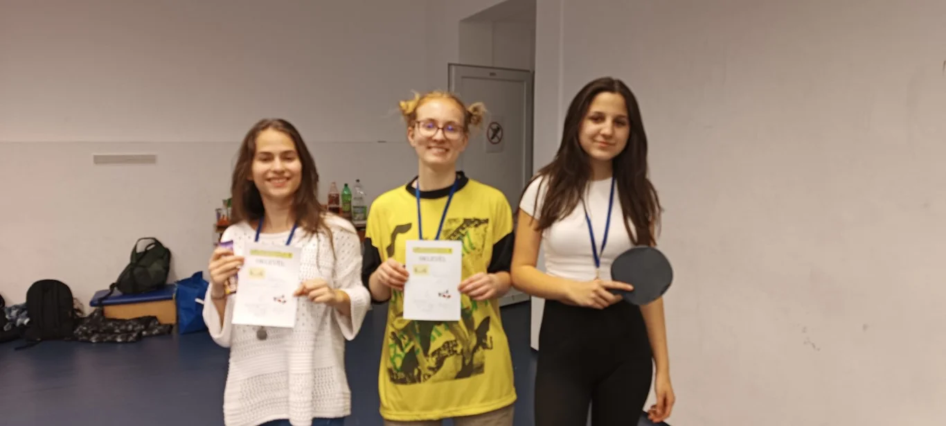 Házi ping-pong bajnokság