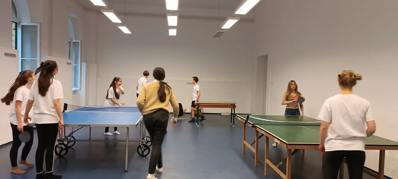 Házi ping-pong bajnokság