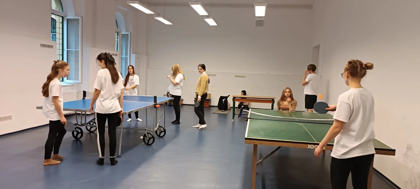 Házi ping-pong bajnokság