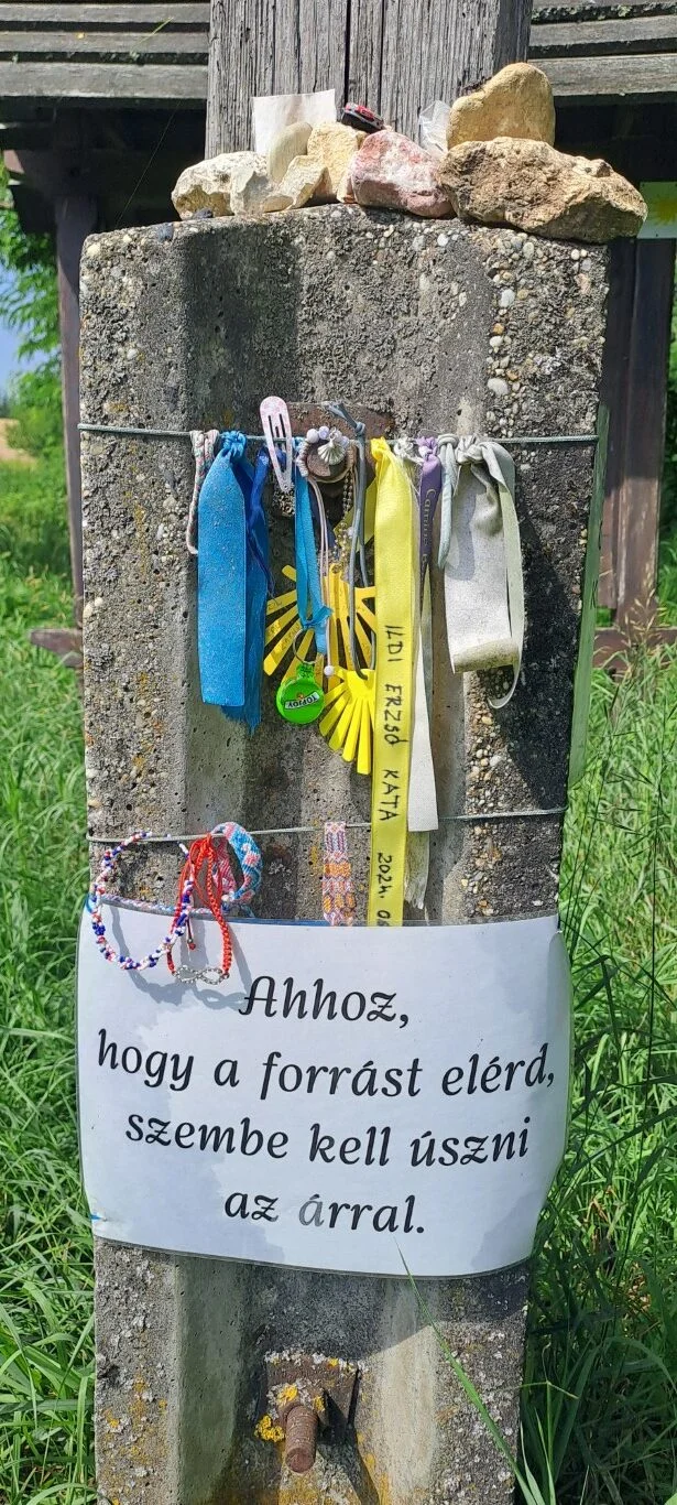 Zarándoktábor 2024.
