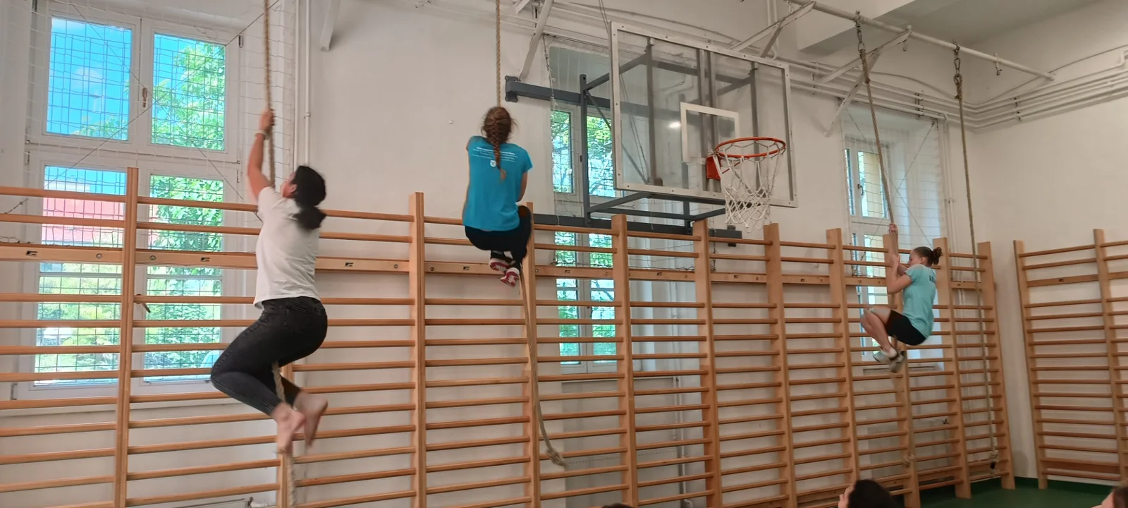 Kötélmászó verseny itthon, az EKG-ban