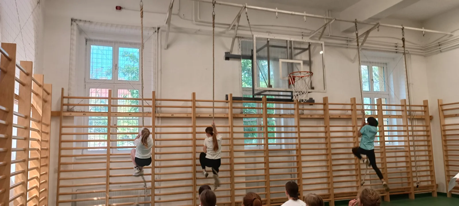 Kötélmászó verseny itthon, az EKG-ban