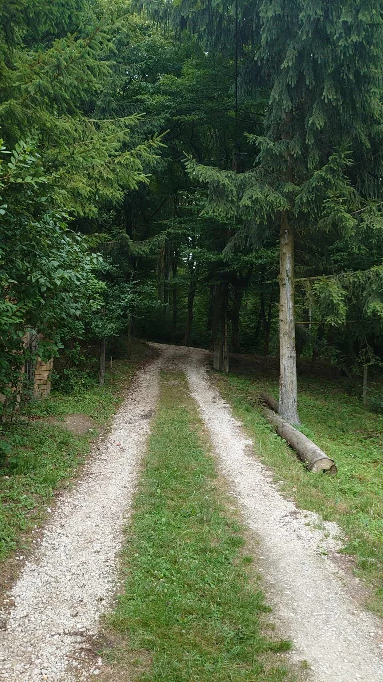 Tata-Esztergom Zarándoktábor
