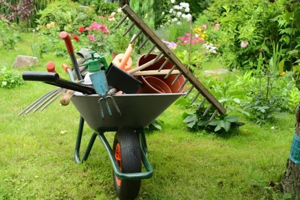 Farmer projekt