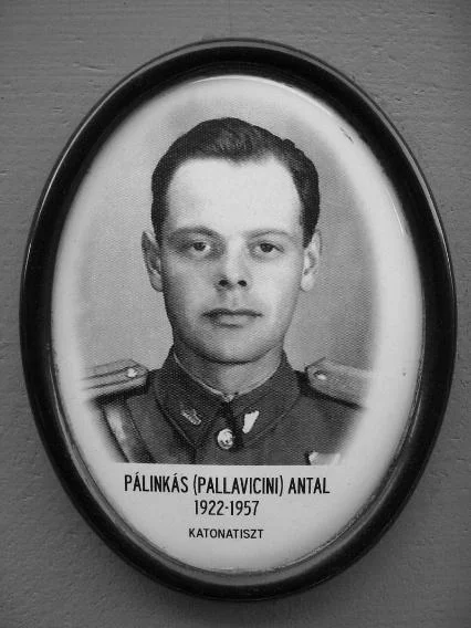 Pálinkás-Pallavicini Antal portréja.